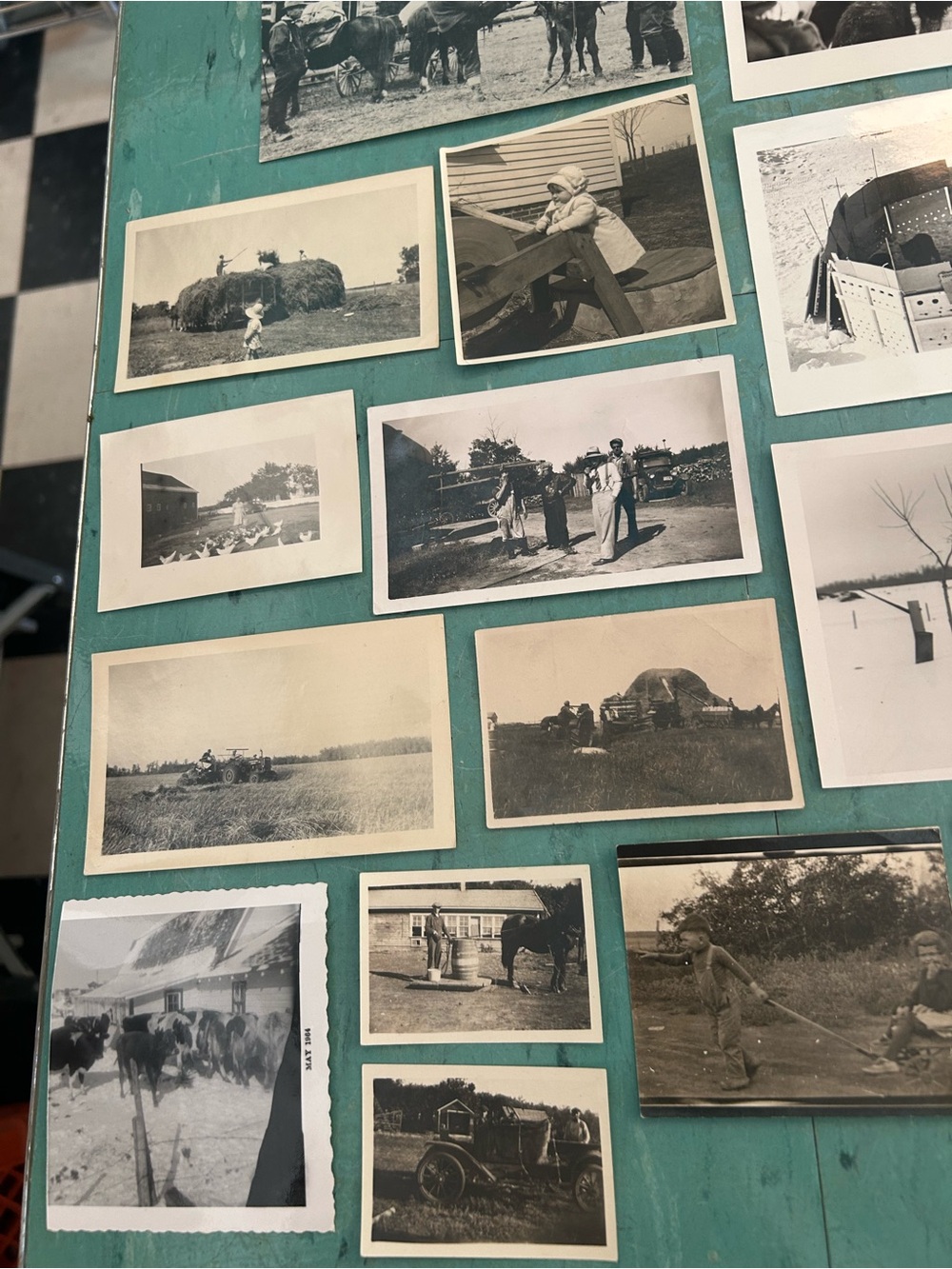 46 black white vintage farm photos animals farmers 1920’s - 1940’s ephemera - Picture 8 of 13